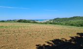 Randonnée Marche Plougasnou - Térénez-Barnenez - Photo 11