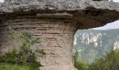 Tocht Stappen Mostuéjouls - Gorges du Tarn (Liaucous) - Photo 2