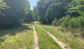 Randonnée Marche Coyolles - en Forêt de Retz_96_08_2025_autour de l'Enclave de Vauciennes - Photo 4