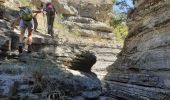 Randonnée Marche Lussas - Le canyon de la Louyre - Photo 12