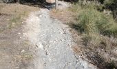 Trail Walking Motril - Cerro Gordo Motril  - Photo 2