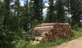 Randonnée Marche Les Plans - Forêt domaniale d'Escandorgue par Roqueredonde et l'Engayresque - Photo 14