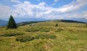 Randonnée Marche Lüsen - Luson - Lüsner Alm - Rastnerhütte - Photo 7