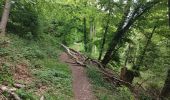 Excursión Senderismo Notre-Dame-de-Bondeville - La bretêque-Isneauville-Houppeville - Photo 1