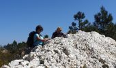 Tocht Stappen La Garde-Freinet - Les Roches Blanches - Photo 3