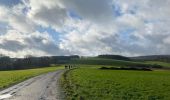 Randonnée Marche La Roche-en-Ardenne - Vecmont - Photo 2
