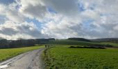 Tocht Stappen La Roche-en-Ardenne - Vecmont - Photo 2