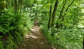 Trail Walking Arbois - Roche du Feu Arbois - Photo 3