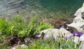 Tocht Stappen Valdieri - Lac et refuge Bianco - Photo 5