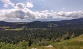 Tocht Stappen Les Rousses - Mont Sala vue sur le Leman - Photo 4