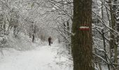 Tocht Stappen Malmedy - beau veau  - Photo 3