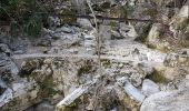 Tocht Stappen Courmes - Foulon - Photo 7