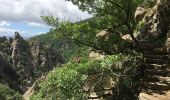 Trail Walking Riols - Sentier des légendes (1000 marches) par Langlade (Riols) - Photo 16