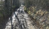 Excursión Bici de montaña Yvoir - GODINNE ... par le sentier des 