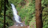 Excursión Senderismo Gérardmer - le saut de la bourique Gérardmer 08/08/23 - Photo 3