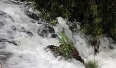 Tour Zu Fuß Ponteareas - Sendero del río Tea - Photo 3