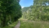 Trail Walking Liège - ile Rousseau . pré de tilff    A/R - Photo 3