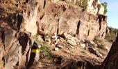 Excursión Senderismo Le Pradet - La Colle Noire - Photo 4