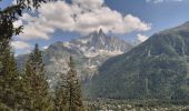 Randonnée Marche Chamonix-Mont-Blanc - Les Tines ,les Bois,les Mottets,Chamonix et retour par petit balcon sud - Photo 2