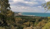 Tour Wandern Argelès-sur-Mer - Mas Cristina: Par les trois mas - Photo 15