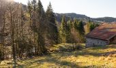 Tour Wandern Le Ménil - Boucle au départ des chalets de la 