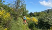 Trail  Lamastre - Lamastre Desaignes - Photo 9