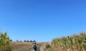 Tour Wandern Dalhem - Avant les ânes  - Photo 1