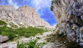 Trail On foot Auronzo di Cadore - IT-152 - Photo 3