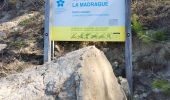 Trail Walking Saint-Cyr-sur-Mer - Port d'Alon-Madrague - Photo 1