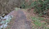 Trail Walking Mörsdorf - geierlay.... pont suspendu - Photo 5