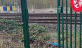 Percorso Marcia Watermael-Boitsfort - Watermaal-Bosvoorde - promenade matinale a boisfort - Photo 20