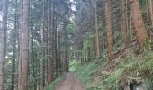 Tour Wandern Metzeral - Tour Steinabruck - Mittlach - Photo 16
