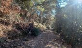 Tour Wandern Peyruis - PEYRUIS . TOUR DU PRACONTEAU .CHAPELLE D AUGES O L M - Photo 1