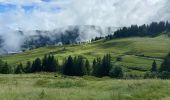 Trail Walking Megève - Mont vores col very - Photo 4