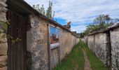 Tocht Stappen Fontainebleau - thomery3 - Photo 3