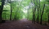 Percorso Marcia Le Mesnil-le-Roi - Huit dans la forêt  - Photo 1