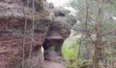 Randonnée Marche Lorquin - lorquin / roche au fées - Photo 6