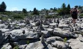 Excursión Senderismo Fillière - LE PARMELAN: ANGLETTAZ - GRANDE GLACIERE - GROTTE DE L'ENFER - LAPIAZ - REFUGE... RETOUR PAR GRAND & PETIT MONTOIR - Photo 5