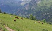 Tour Wandern Gavarnie-Gèdre - Maillet-Gavarnie 20/06/23 - Photo 13