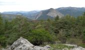 Trail Walking Castellane - Col des lèques - Cadières de branlis - Photo 18