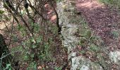 Trail Walking Le Castellet - Le vallon des martyr  - Photo 4