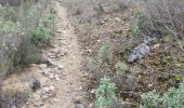 Trail Walking Sanary-sur-Mer - Gros cerveau  - Photo 6