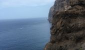 Tocht Trail Santiago del Teide - Los Gigantes -Playa Seco  - Photo 6