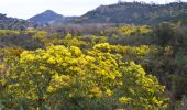 Tour Wandern Mandelieu-la-Napoule - Chapelle St Jean - Maure Vieil - La Californie - Rocher des Monges - Photo 6