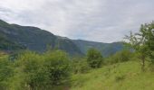 Trail Walking Saint-Claude - la cascade de la queue de  cheval  - Photo 2