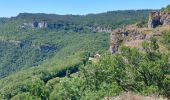 Excursión Senderismo Les Plans - Forêt et cirque de Labeil  - Photo 4