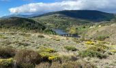 Trail Walking Pied-de-Borne - Le tour du chassezac - Photo 11