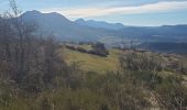 Trail Walking Thoard - thoar courbon 1000m22kms - Photo 5