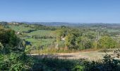 Tour Wandern Ceilloux - Ceilloux 091022 - Photo 15