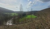 Trail Walking La Roche-en-Ardenne - rando samrée 19-03-2024 - Photo 10